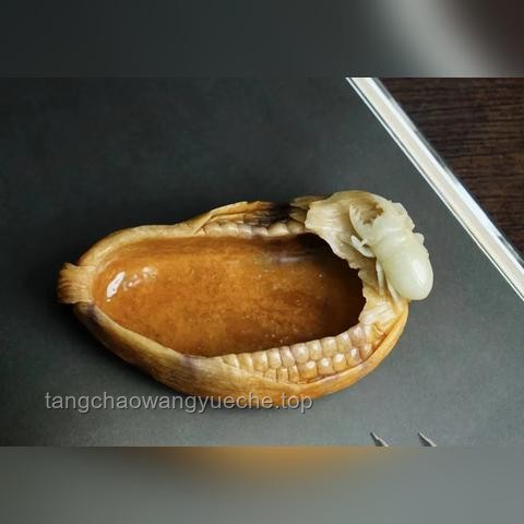 哪件旧物是你一直保留着的：情感价值、记忆载体与可持续性研究